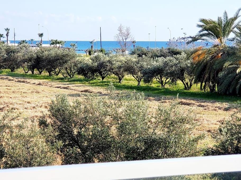 Villa Utopia Paphos Extérieur photo